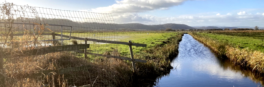 West Sedgemoor