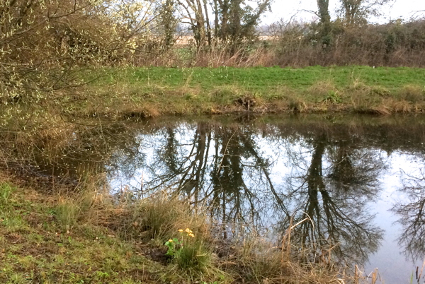 Cartgate pond