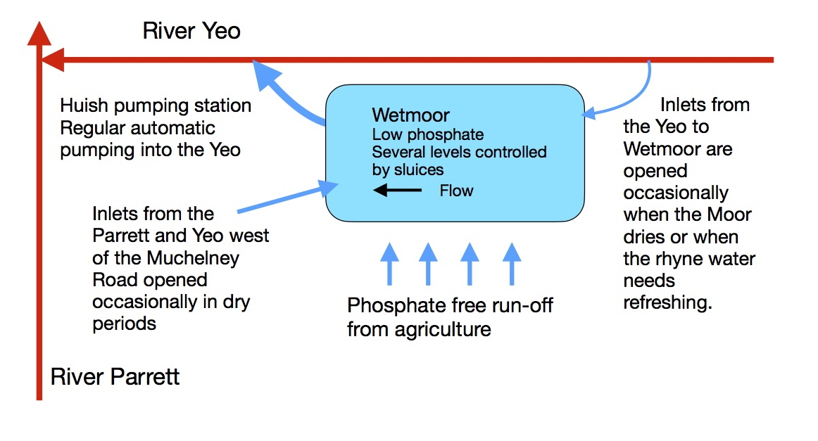 Wetmoor Hydrology