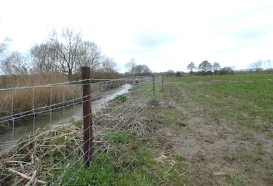 Parrett Gawbridge