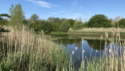 Retention Pond