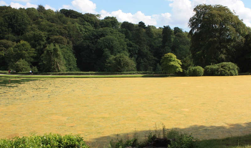 Stourhead